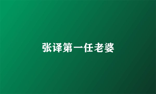 张译第一任老婆