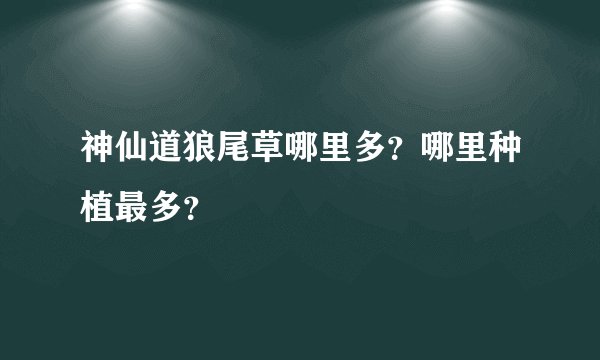 神仙道狼尾草哪里多？哪里种植最多？