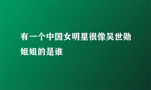 有一个中国女明星很像吴世勋姐姐的是谁