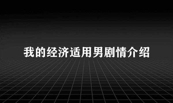 我的经济适用男剧情介绍