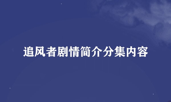 追风者剧情简介分集内容