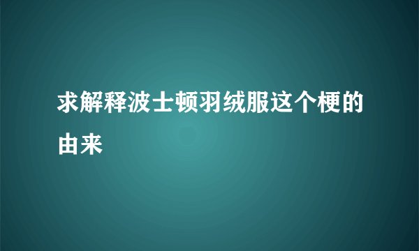求解释波士顿羽绒服这个梗的由来