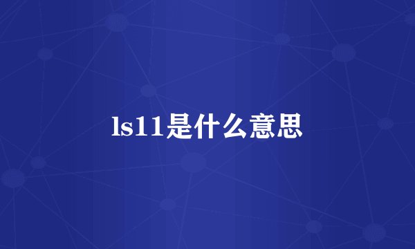 ls11是什么意思