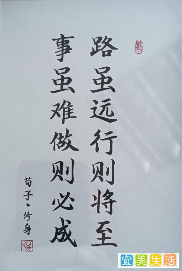 我的文学路