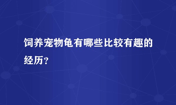饲养宠物龟有哪些比较有趣的经历？
