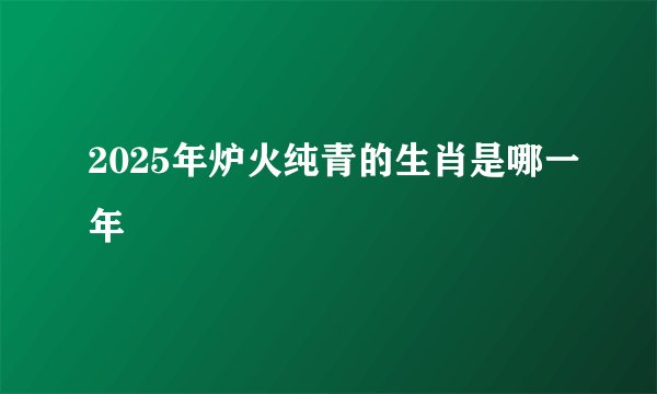 2025年炉火纯青的生肖是哪一年
