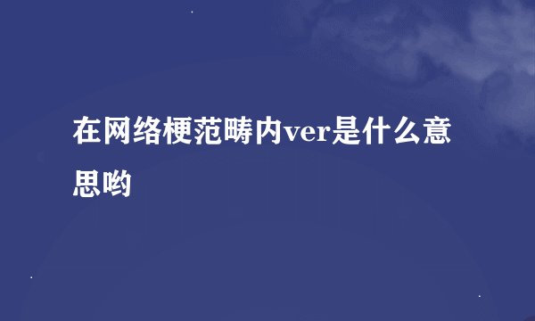 在网络梗范畴内ver是什么意思哟