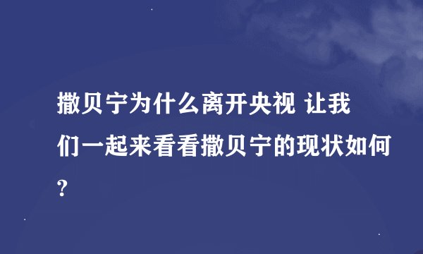撒贝宁为什么离开央视 让我们一起来看看撒贝宁的现状如何?