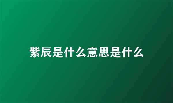 紫辰是什么意思是什么
