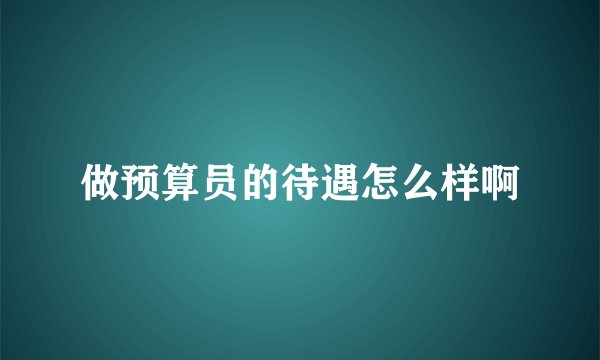 做预算员的待遇怎么样啊