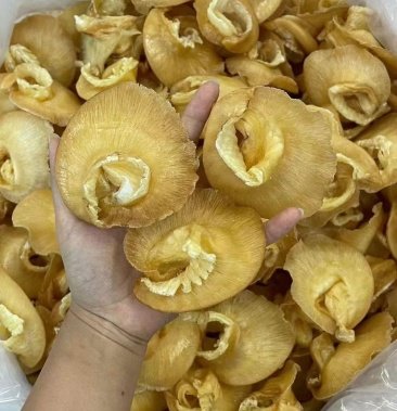 金钩翅价格
