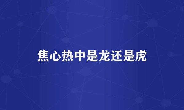 焦心热中是龙还是虎