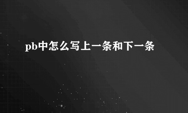 pb中怎么写上一条和下一条