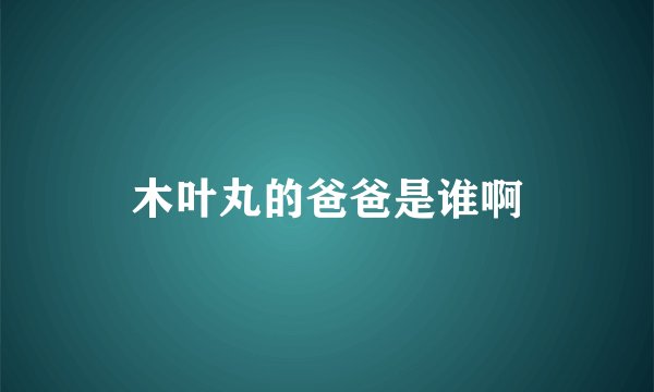 木叶丸的爸爸是谁啊