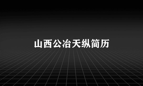 山西公冶天纵简历