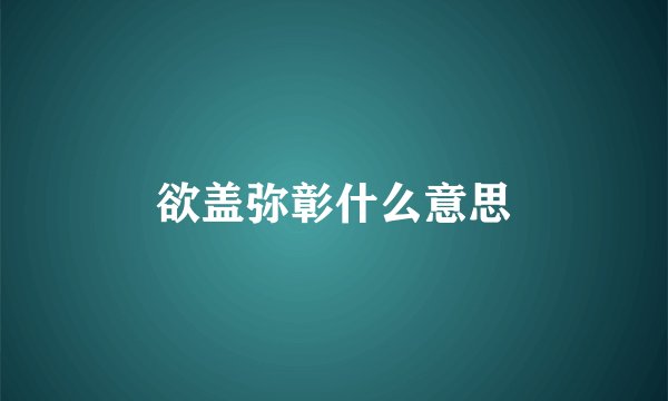欲盖弥彰什么意思