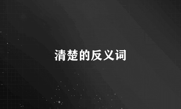 清楚的反义词