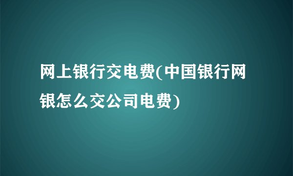 网上银行交电费(中国银行网银怎么交公司电费)