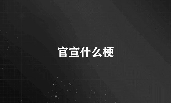官宣什么梗