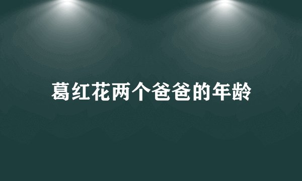 葛红花两个爸爸的年龄