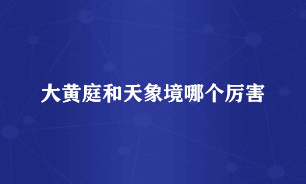 大黄庭和天象境哪个厉害