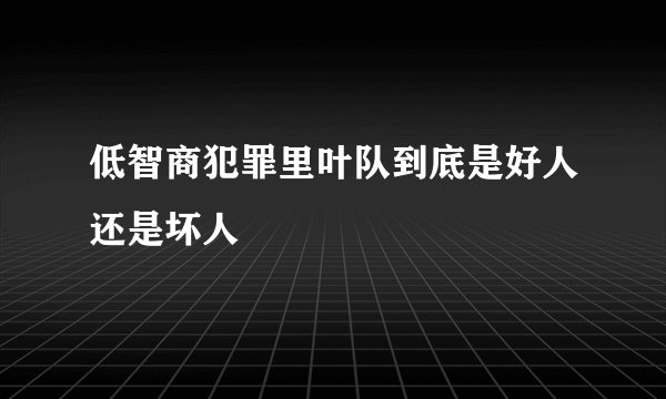 低智商犯罪里叶队到底是好人还是坏人