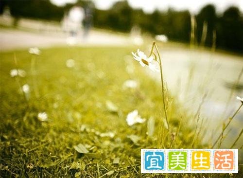 你的心态,决定你的状态