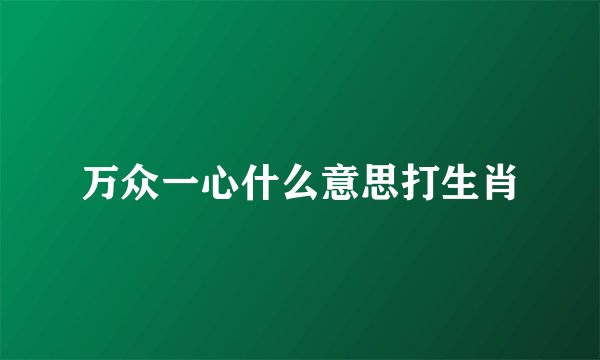 万众一心什么意思打生肖