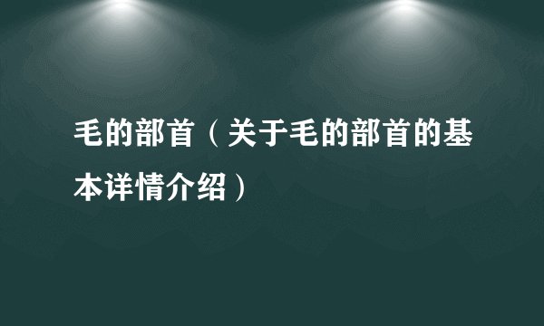 毛的部首（关于毛的部首的基本详情介绍）