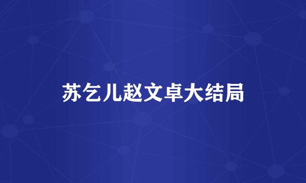 苏乞儿赵文卓大结局