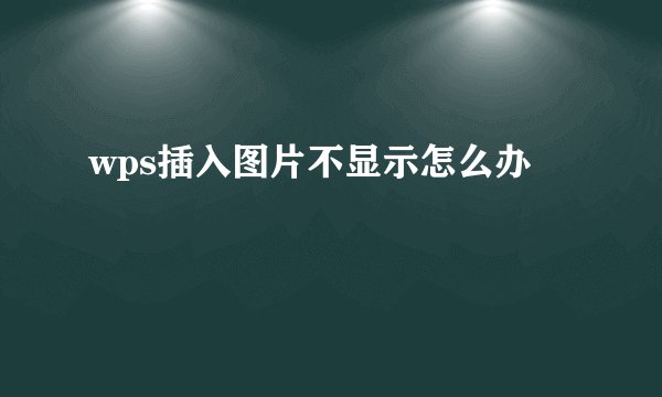 wps插入图片不显示怎么办