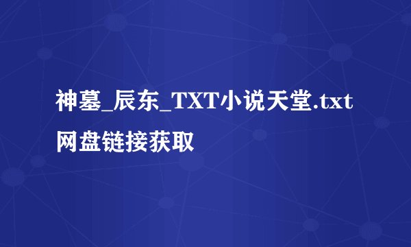 神墓_辰东_TXT小说天堂.txt 网盘链接获取