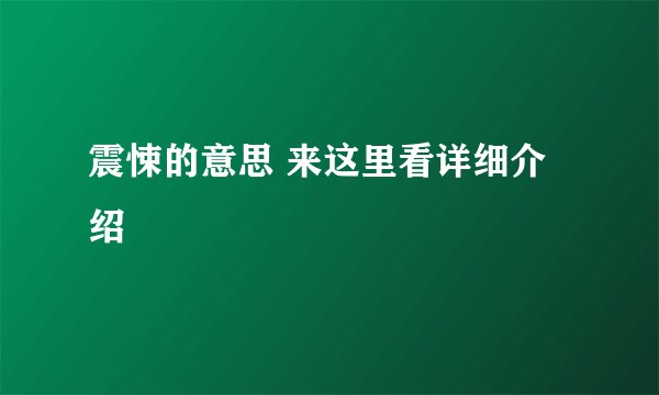 震悚的意思 来这里看详细介绍
