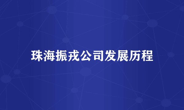 珠海振戎公司发展历程