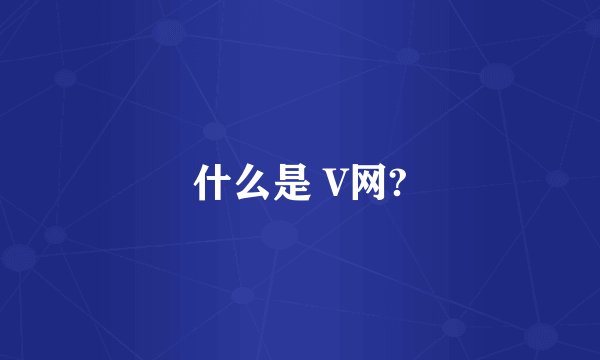 什么是 V网?