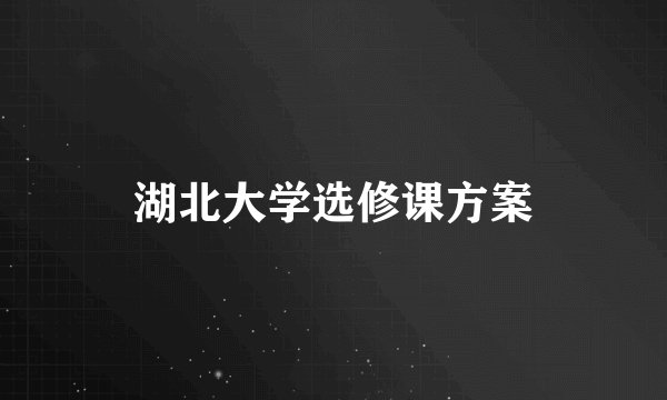 湖北大学选修课方案