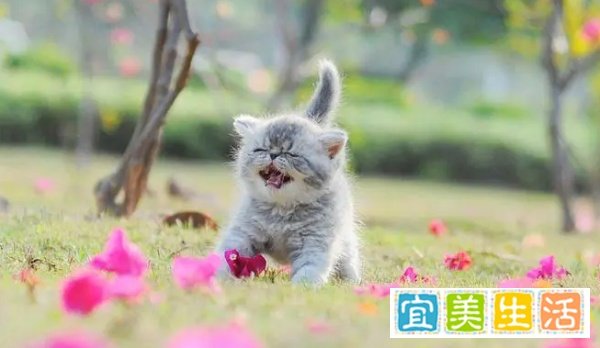 一周经济总结。。。。