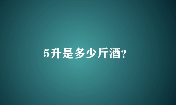 5升是多少斤酒?