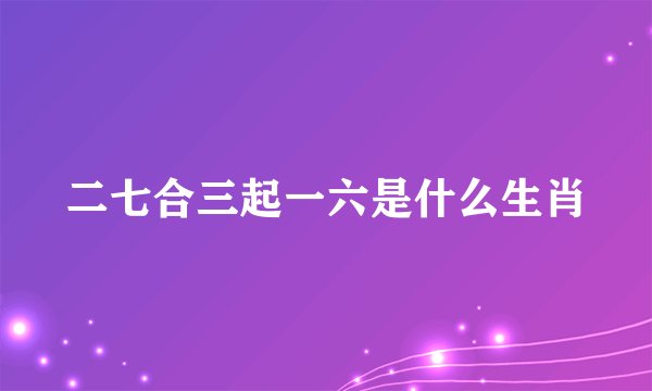 二七合三起一六是什么生肖