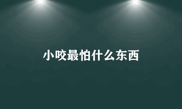 小咬最怕什么东西