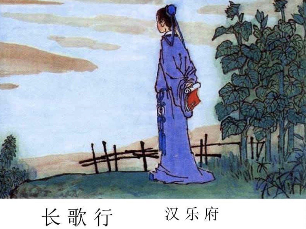 少壮不努力老大徒伤悲出自哪首诗