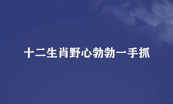 十二生肖野心勃勃一手抓