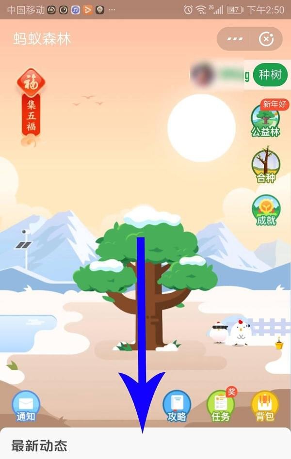 蚂蚁森林金色能量怎么来的