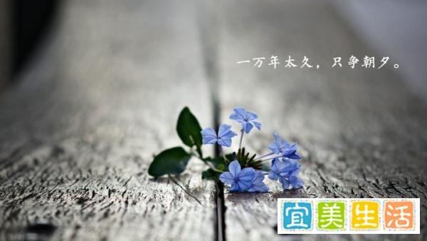 你的心态,决定你的状态