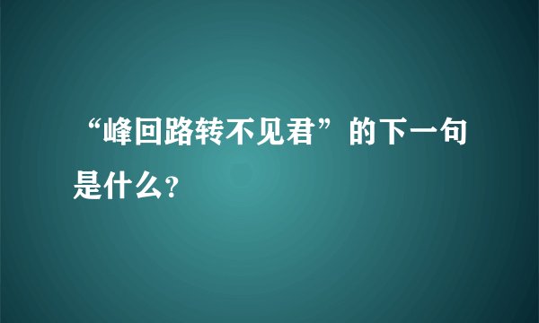 “峰回路转不见君”的下一句是什么？