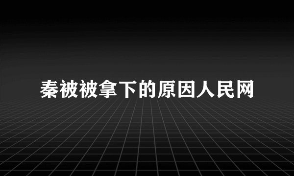 秦被被拿下的原因人民网