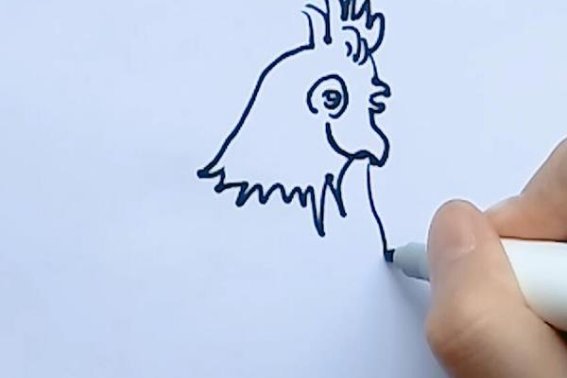 儿童画公鸡的简单画法