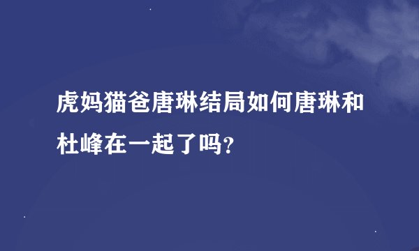虎妈猫爸唐琳结局如何唐琳和杜峰在一起了吗？
