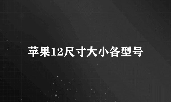 苹果12尺寸大小各型号