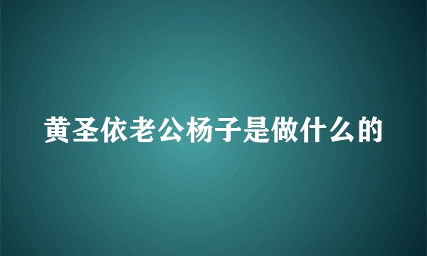 黄圣依老公杨子是做什么的